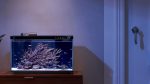 آکواریوم هوشمند شیائومی  Xiaomi MYG100 fish tank 20L - Image 4