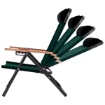 صندلی کمپینگ تاشو گرین لاین Green Lion GNCOCHAIR Coast Camping Chair - Image 6