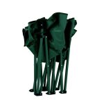 صندلی کمپینگ دو نفره گرین لاین Green Lion GNTNCMPCH Twin Camping Chair - Image 3
